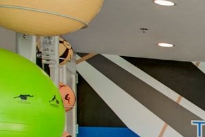 Onyx Gym